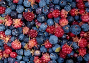 Raspberries, Blueberries, and Salmonberries from Alaska
